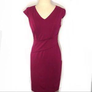 Adrianna Papell Berry Dress